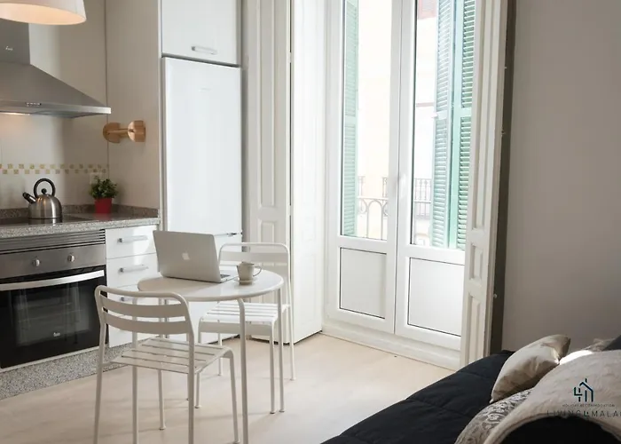 Living4Malaga Molina Lario